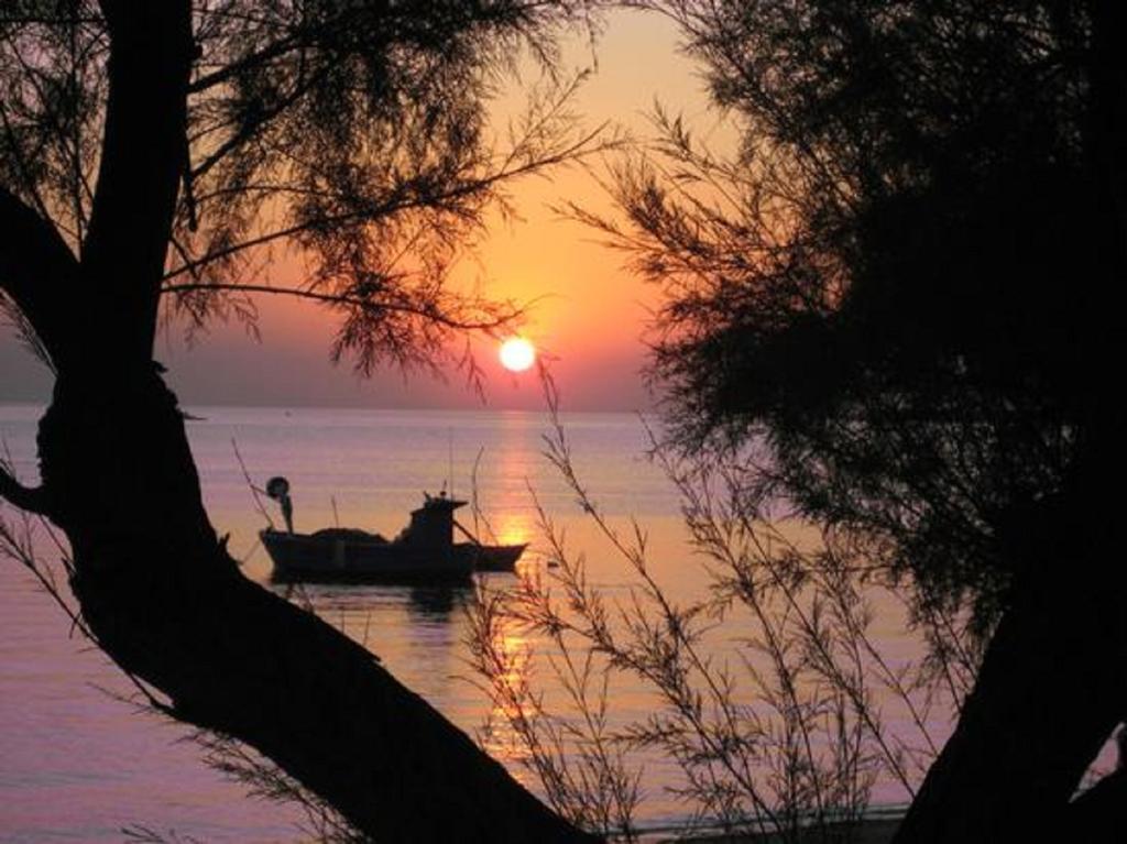 Cristina Torricella (Taranto)